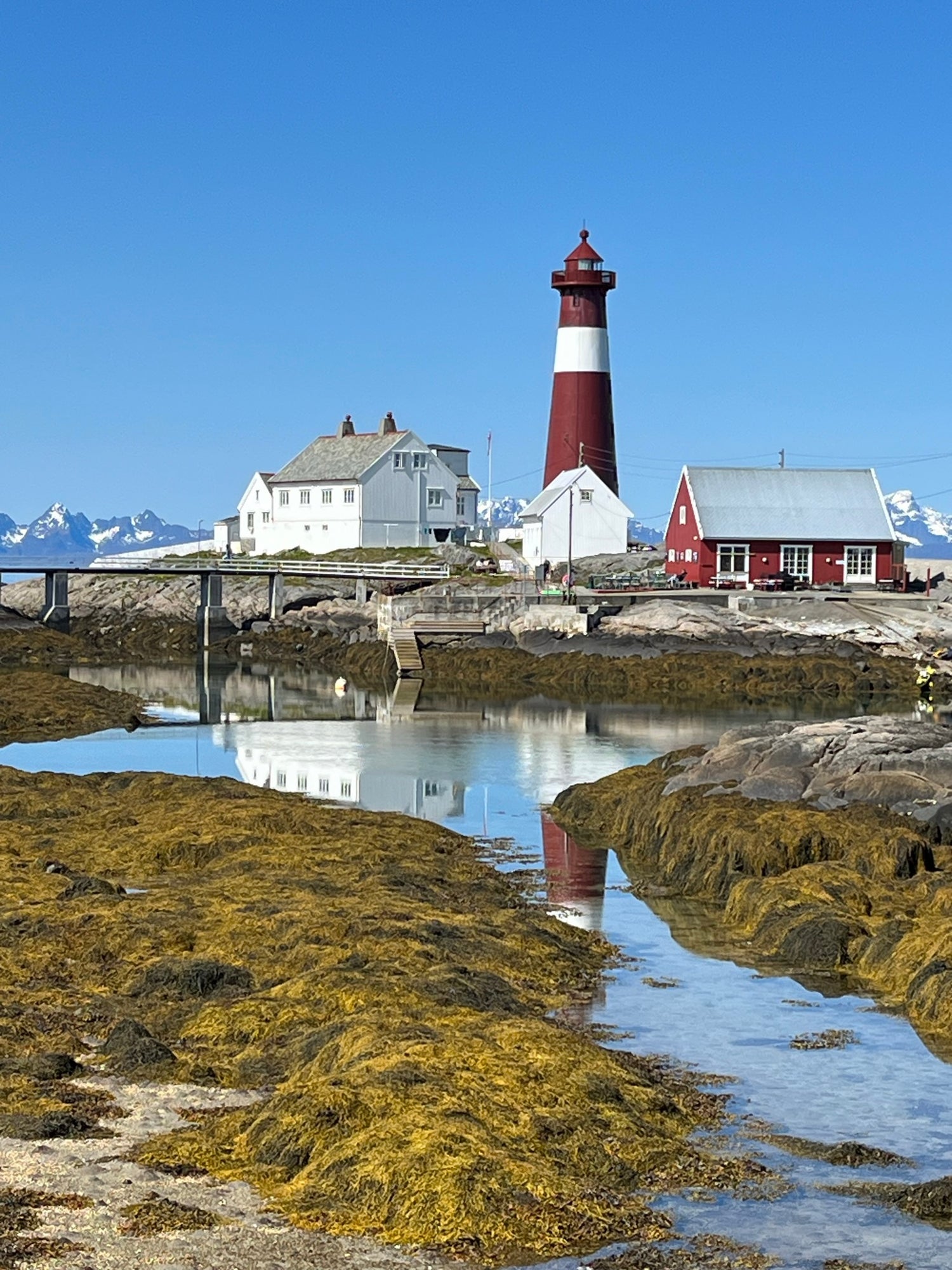 Nordland  på langs - Vestfjordruta.
